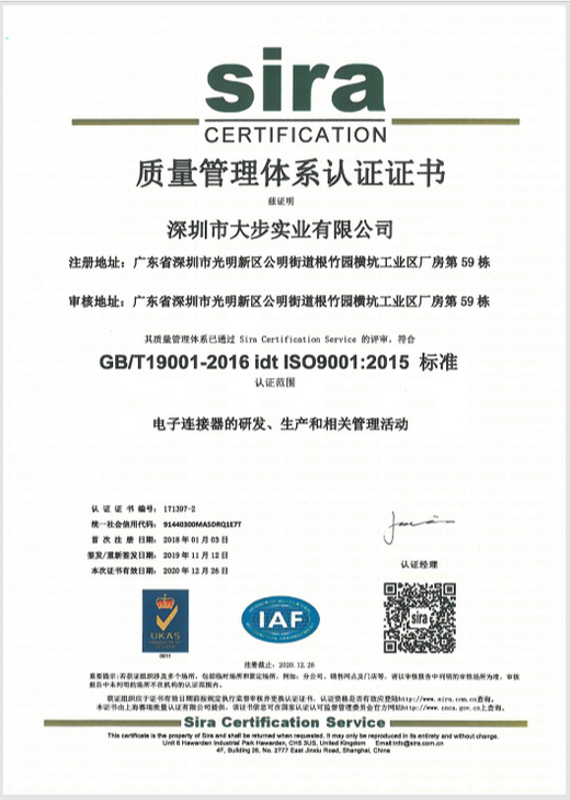 iso 9001大步認證中文版